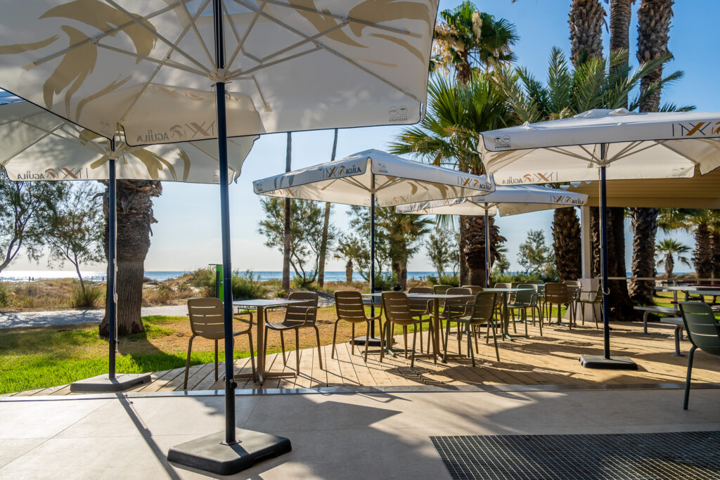 Terraza de Pingüins con sombrillas y palmeras junto a la playa