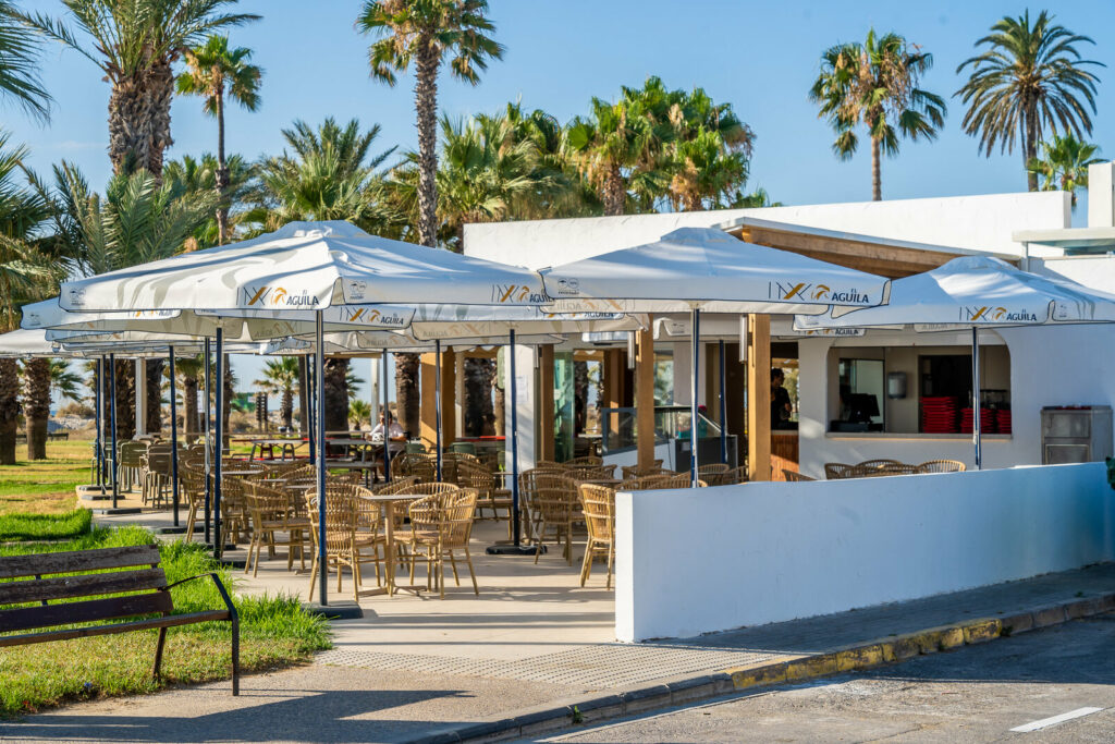 Local de Pingüins entre palmeras, a pie de playa