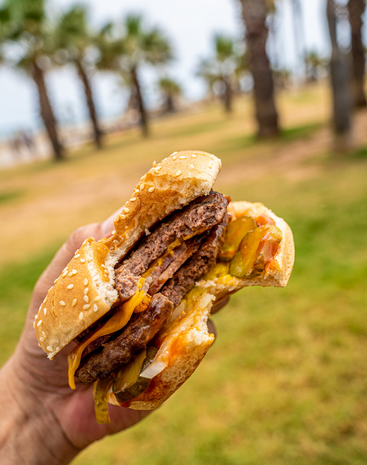 Burger de Pingüins mordida, sujeta en la mano